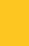 cc16 Golden Yellow