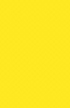 cc17 Canary Yellow