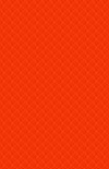 cc18 Int. Orange