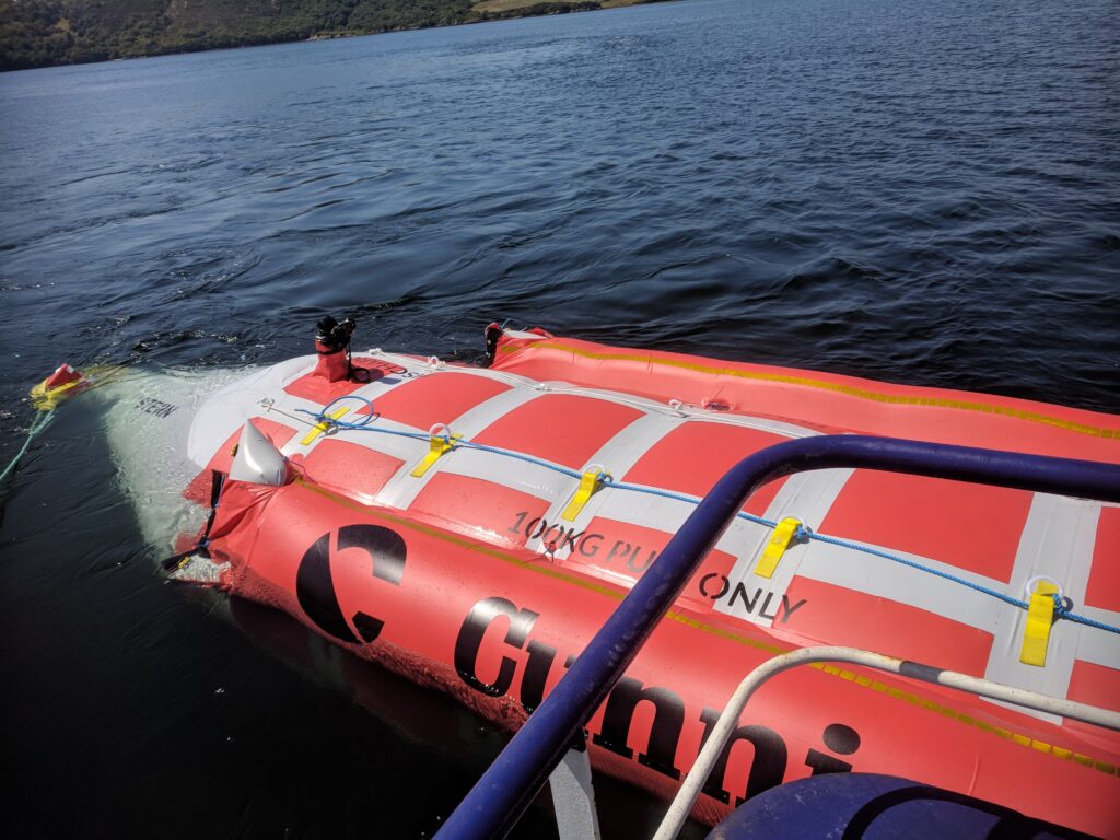 Cunningham's Inflatable Sea Croc Tow Bag in Water