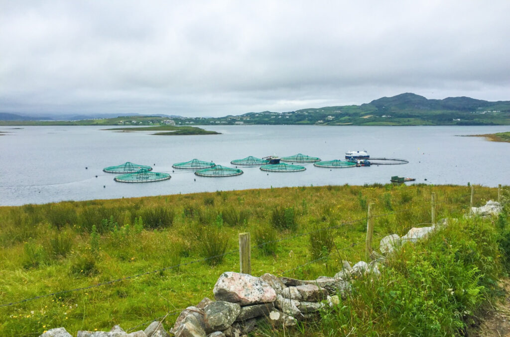 Cunninghams Sea Lice Skirts on Fish Farm Pens