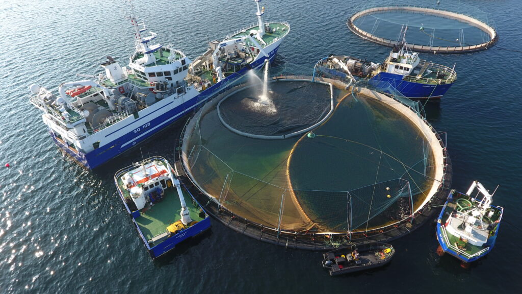 Cunninghams Water Treatment Tarpaulins for Fish Farms at Ocean Farm in Co. Donegal