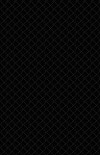 610gsm PVC Black Material Swatch