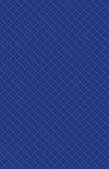 CC10 900gsm PVC Blue Material Swatch