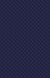 CC11 900gsm PVC Oxford Blue Material Swatch