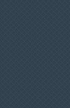 CC12 900gsm PVC Deep Blue Material Swatch