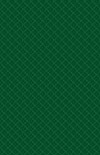 CC13 900gsm PVC Bottle Green Material Swatch