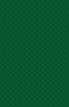 CC14 900gsm PVC Brunswick Green Material Swatch