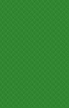 CC15 900gsm PVC Brilliant Green Material Swatch